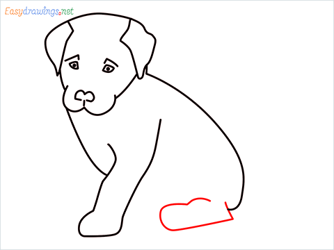 how to draw a cute dog sitting step (8)