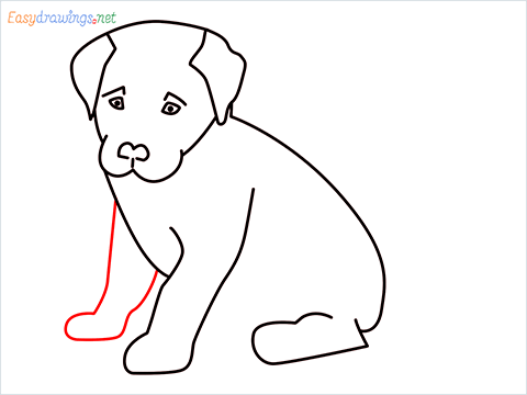 how to draw a cute dog sitting step (9)