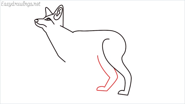 how to draw a fox step (10)