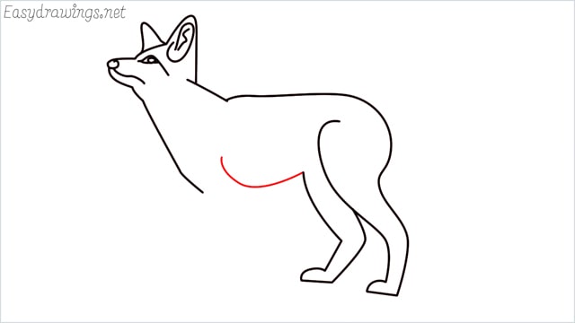 how to draw a fox step (11)