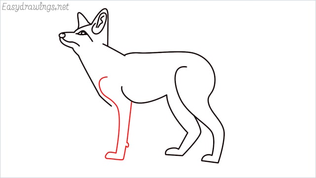 how to draw a fox step (12)