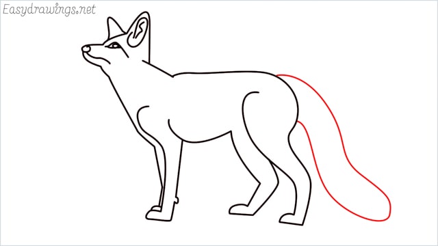 how to draw a fox step (14)
