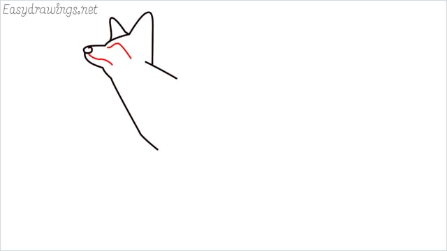 how to draw a fox step (5)