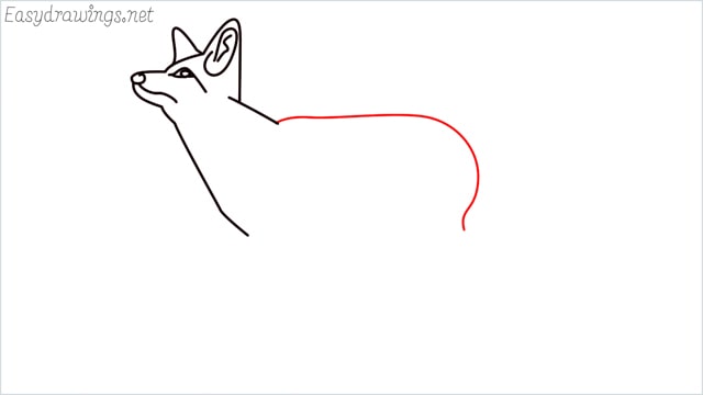 how to draw a fox step (8)