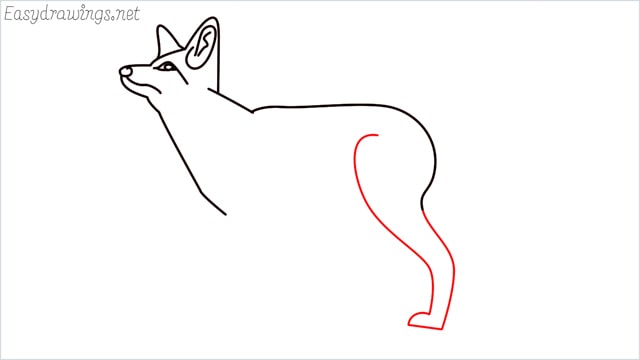 how to draw a fox step (9)