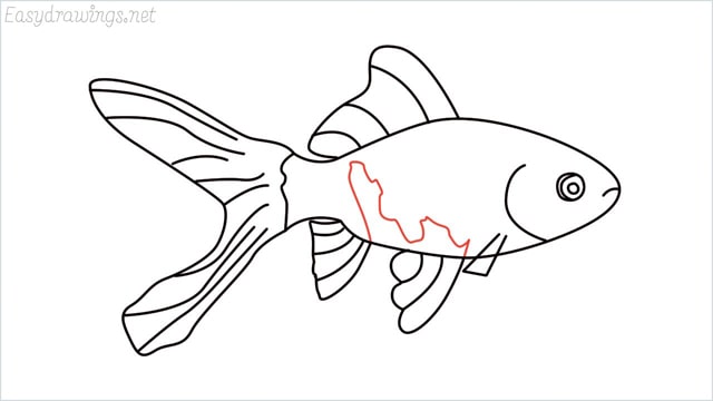 how to draw a goldfish step (10)