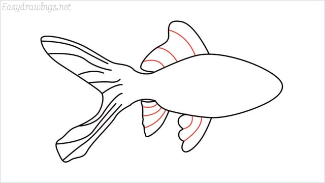 how to draw a goldfish step (6)