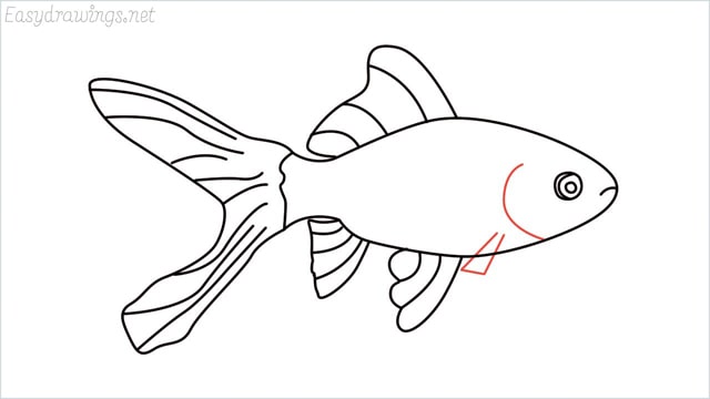 how to draw a goldfish step (9)