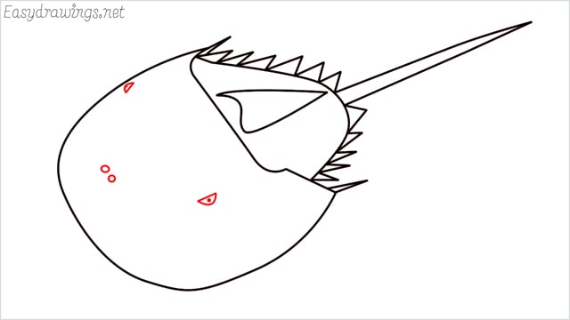 how to draw a horseshoe crab step (8)