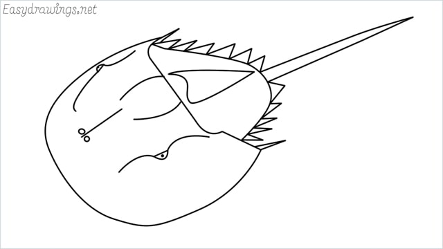 how to draw a horseshoe crab step by step