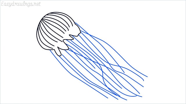 how to draw a jellyfish step (4)