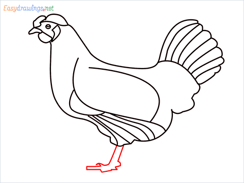 how to draw a mother hen Step (12)