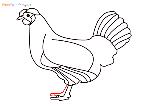 how to draw a mother hen Step (13)