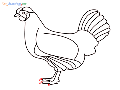 how to draw a mother hen Step (14)