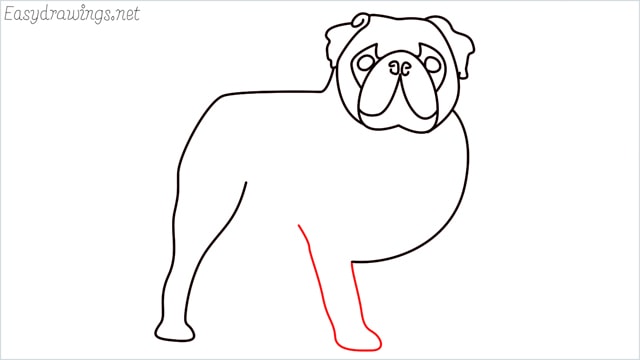 how to draw a pug step (10)