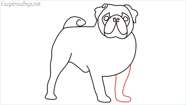 how to draw a pug step (12)