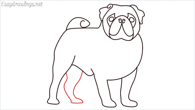 how to draw a pug step (13)