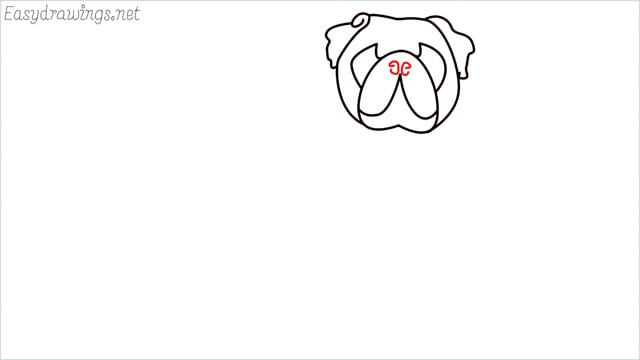 how to draw a pug step (6)