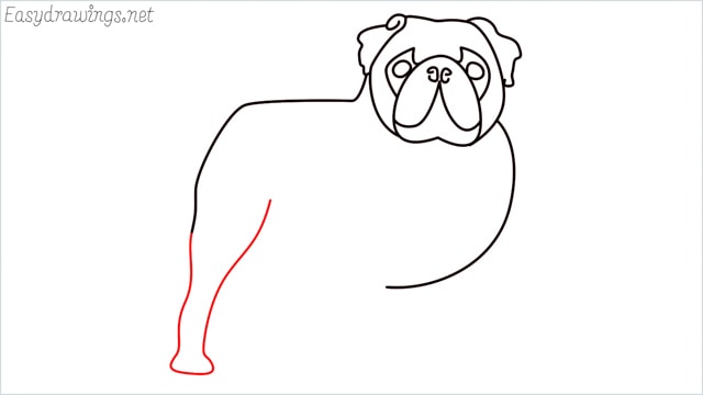 how to draw a pug step (9)