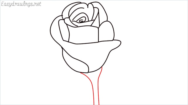 how to draw a rose step (9)
