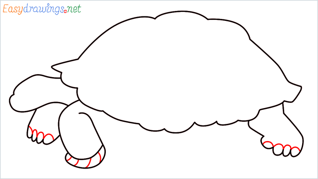 how to draw a sea turtle step (6)