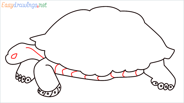 how to draw a sea turtle step (8)