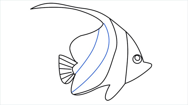 how to draw a spadefish step (10)