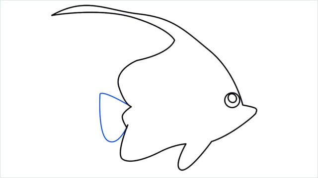 how to draw a spadefish step (7)