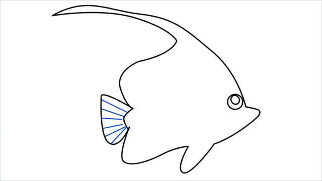 how to draw a spadefish step (8)