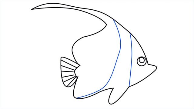 how to draw a spadefish step (9)