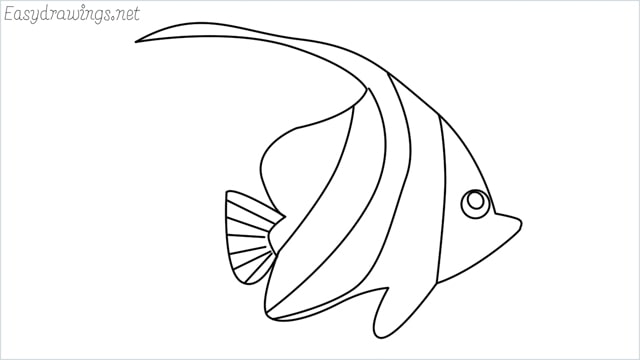 how to draw a spadefish
