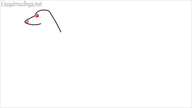 how to draw a suluki dog step (3)