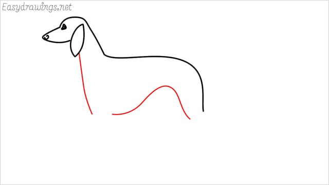how to draw a suluki dog step (5)