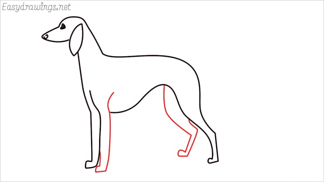 how to draw a suluki dog step (7)