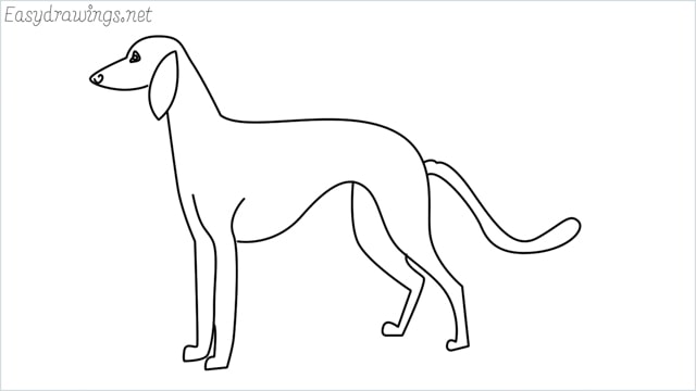 how to draw a suluki dog step by step