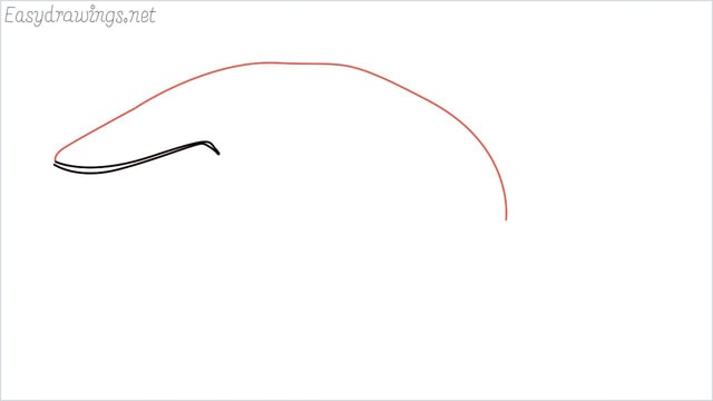 how to draw a whale step (2)