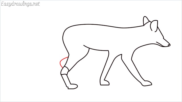 how to draw a wolf step (11)