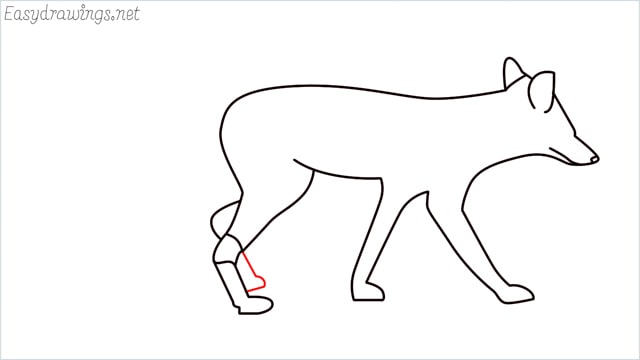 how to draw a wolf step (12)