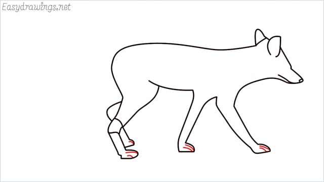 how to draw a wolf step (13)