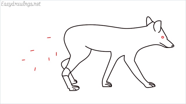 how to draw a wolf step (14)