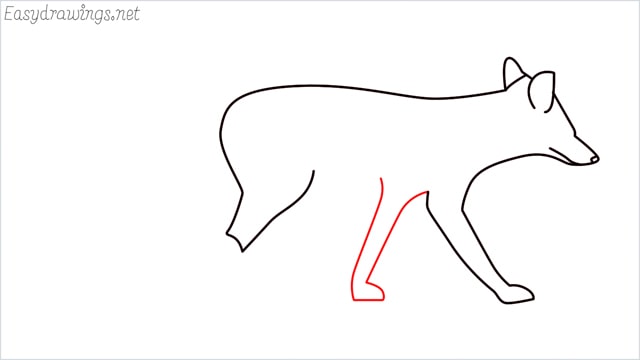 how to draw a wolf step (7)