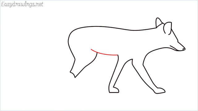 how to draw a wolf step (8)