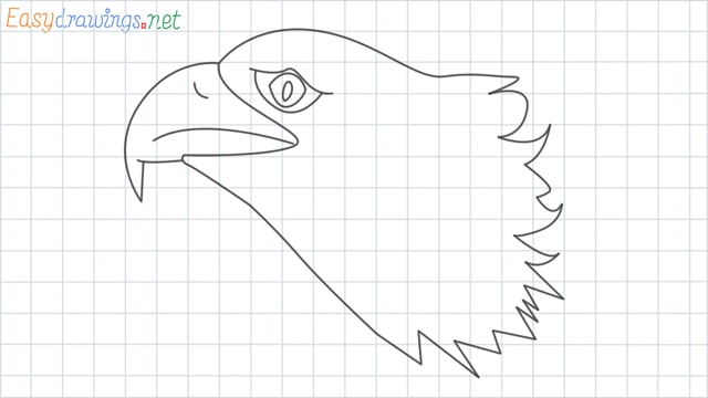 Eagle head grid line drawing