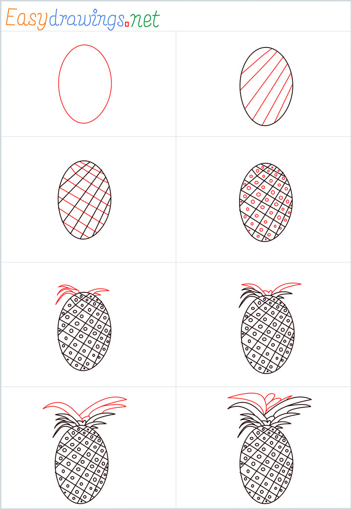 all outline for Pineapple drawing example