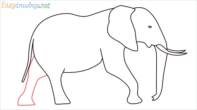 How to draw a elephant step (10)