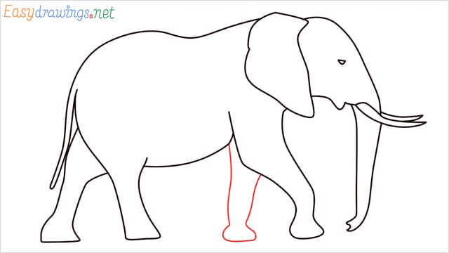 How to draw a elephant step (11)