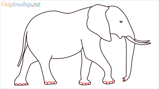 How to draw a elephant step (12)