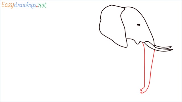 How to draw a elephant step (5)