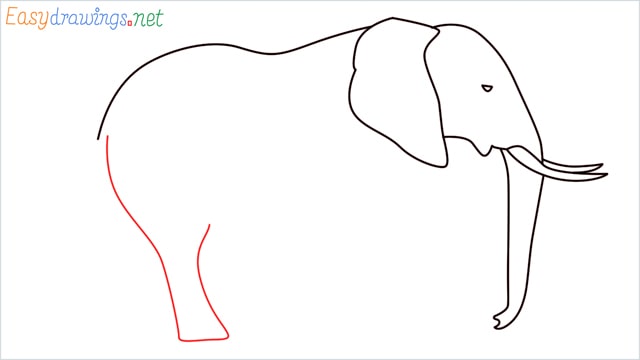 How to draw a elephant step (7)