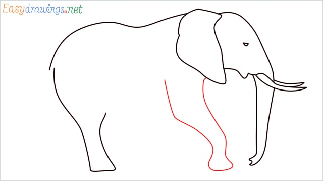 How to draw a elephant step (8)